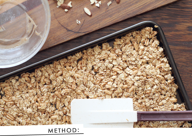 Sugar Free Granola Recipe - made with healthy, whole foods