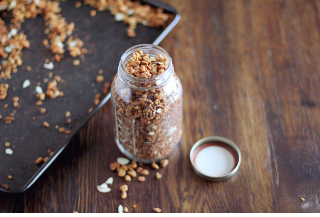 Sugar Free Granola - made with healthy, whole foods