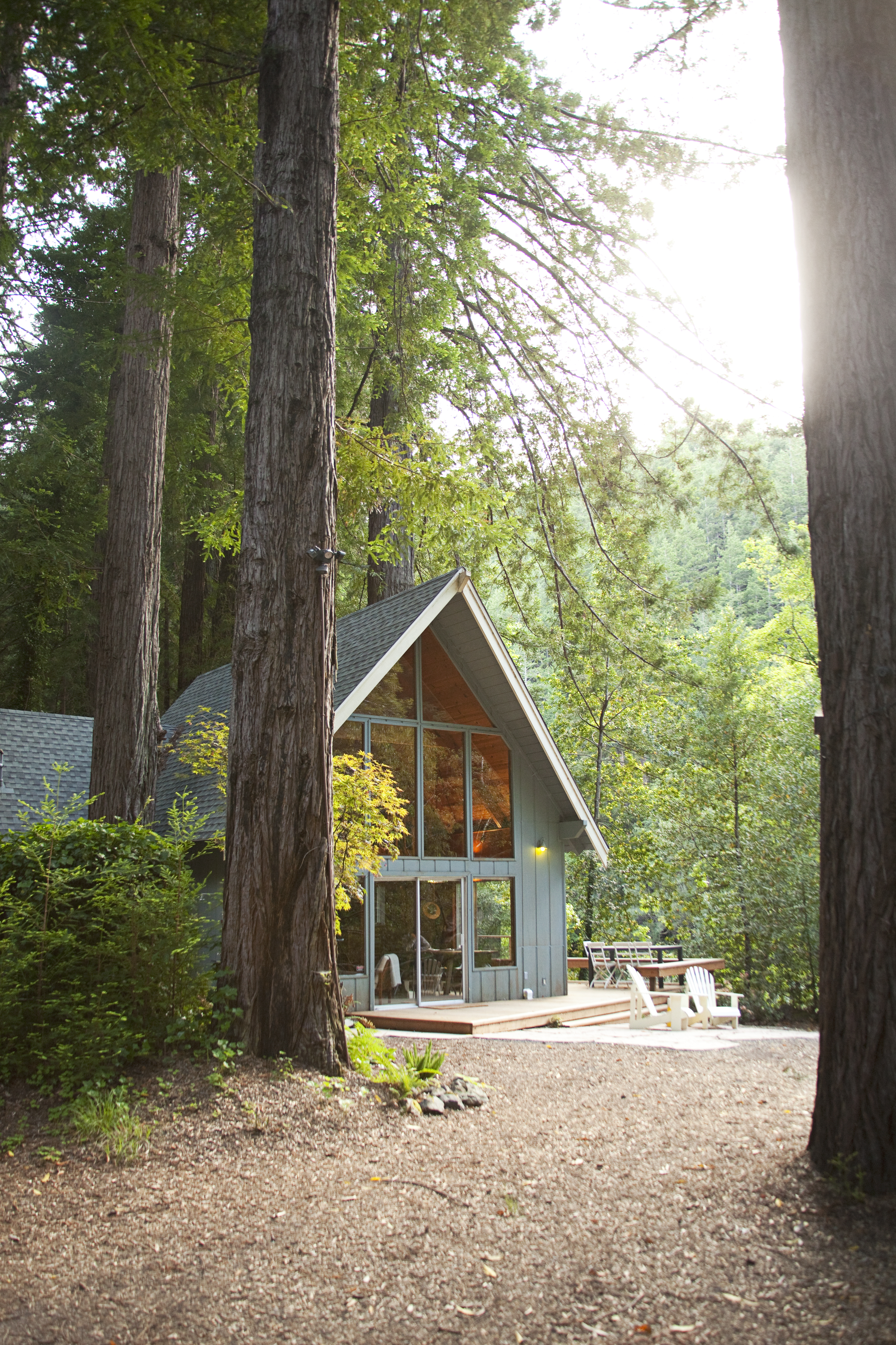 A-Frame cabin in the California redwoods