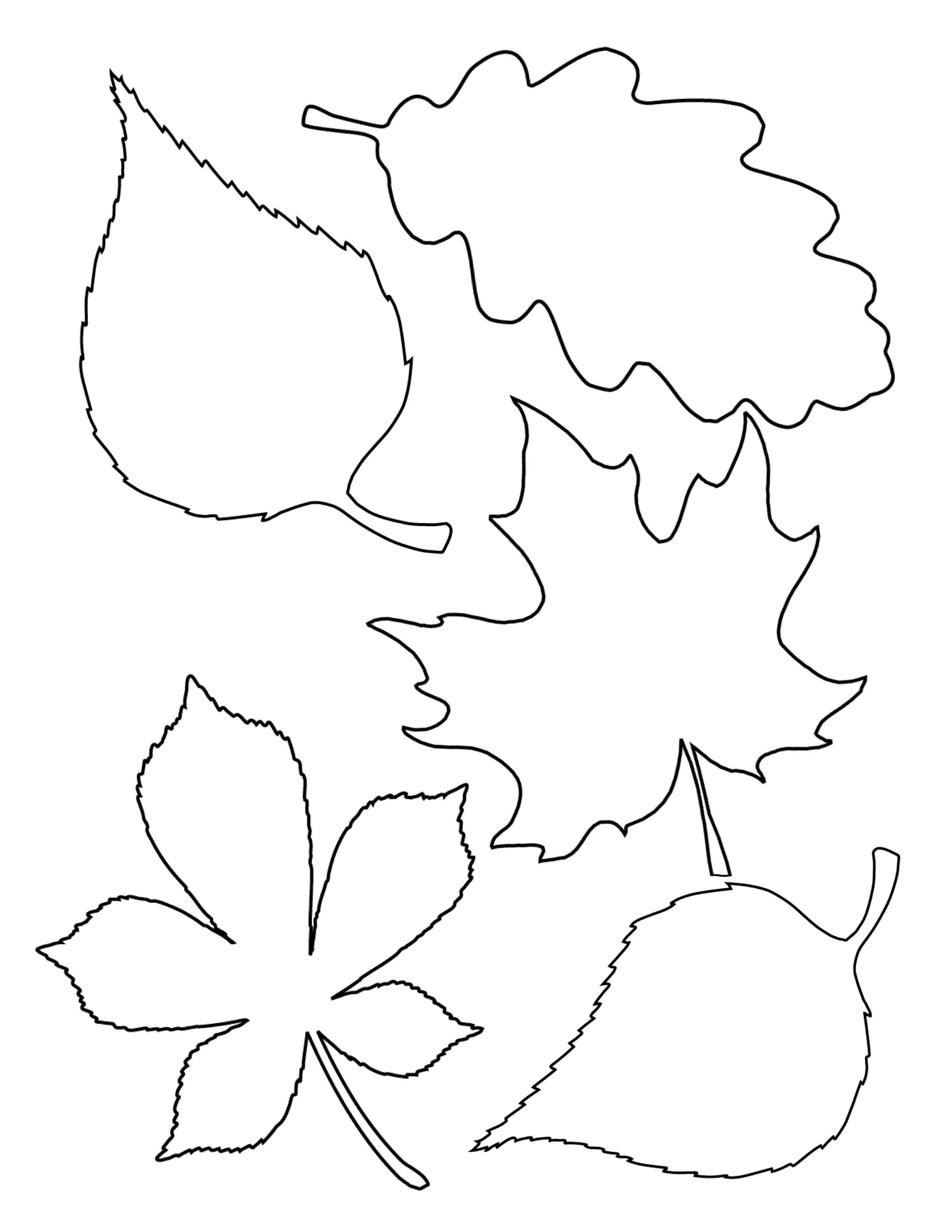 Leaf Template 9