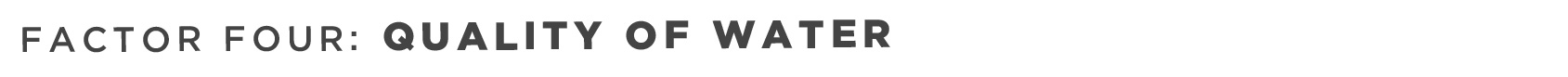 water-quality-and-coffee-making